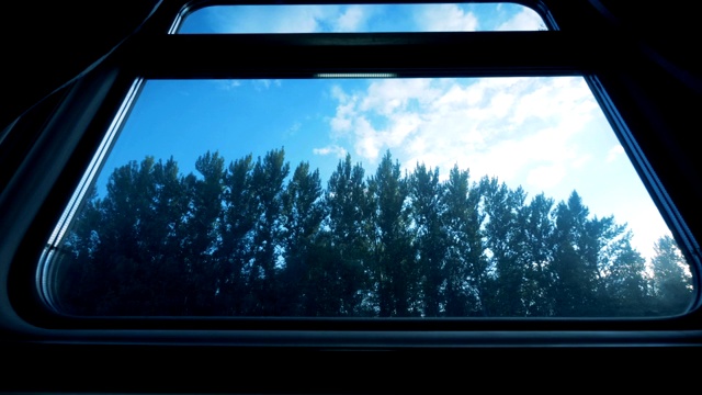火车车厢内的景色。马车上的大窗户，外面是森林。视频素材