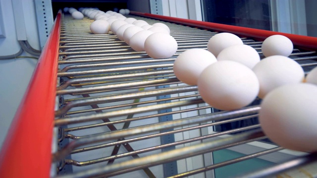 许多白色的蛋沿着金属传送带移动视频素材