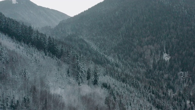 白雪覆盖着山林视频素材