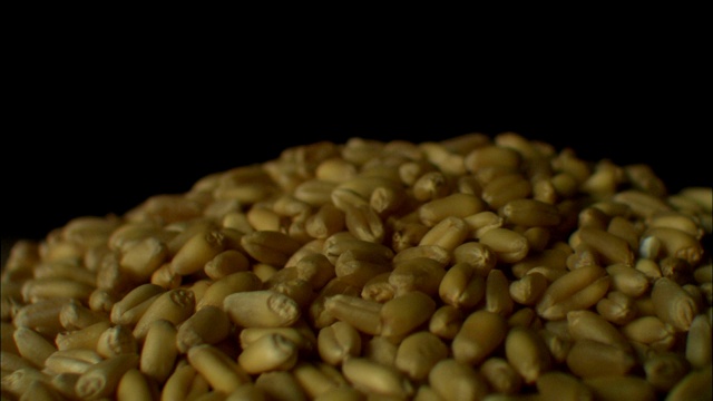 麦粒堆成一堆。视频下载