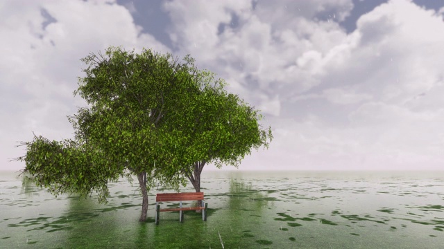 Tree for Rain模式视频素材