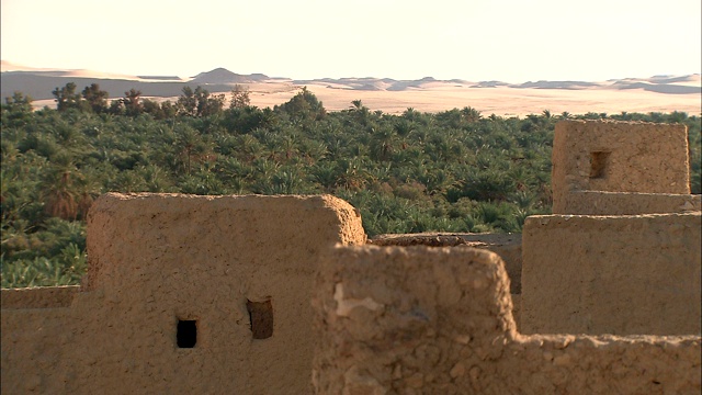 土坯建筑物的废墟矗立在沙漠绿洲中。视频下载