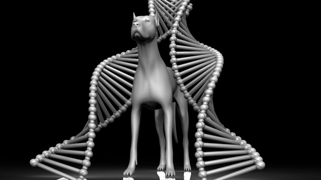 DNA实验动画视频下载