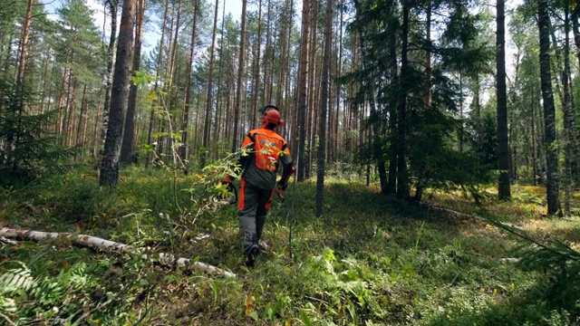 伐木工人带着链锯在森林里散步。视频下载