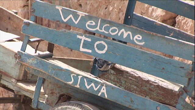 马车上的板条欢迎来到埃及锡瓦的游客。视频下载