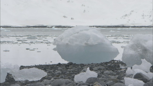 阿拉斯加威廉王子湾漂浮着大块的冰。视频下载