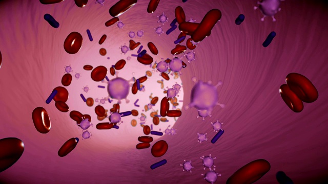 红细胞和病毒在血液中形成动脉的无缝循环视频素材
