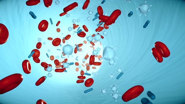 红细胞和病毒在血液中形成动脉的无缝循环视频素材
