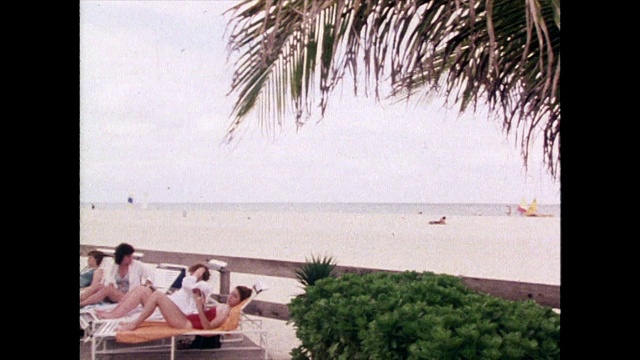 把镜头从迈阿密的海滩缩小到日光浴的游客;1980视频素材
