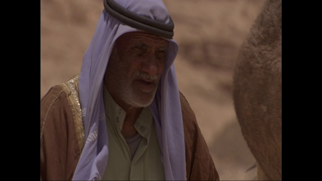 一个人绕着一只戴着挽具的骆驼走来走去，用它的嘴做咀嚼的动作。视频素材
