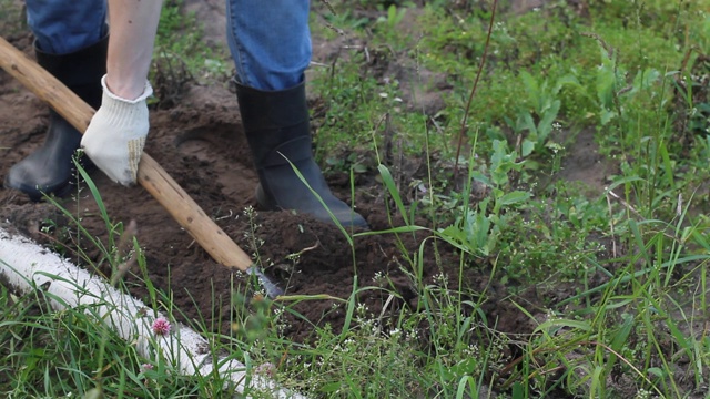一个人在花园里用铲子挖土豆视频素材