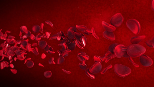 在动脉循环中流动的红细胞视频素材