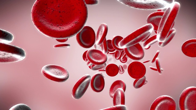 红细胞在血液循环中移动视频素材