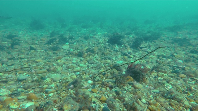 苏塞克斯郡贫瘠的海底视频下载