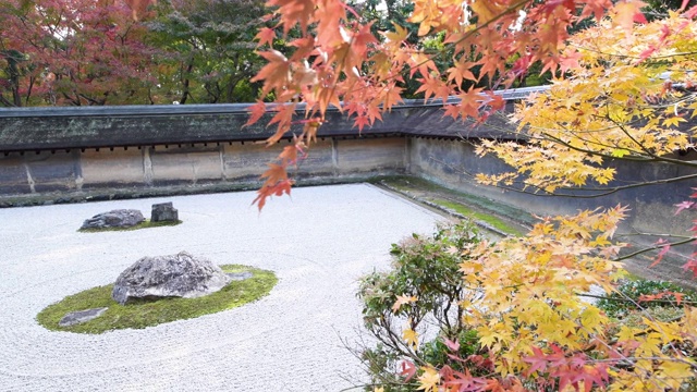 京都的寺庙屋顶上的秋叶视频下载