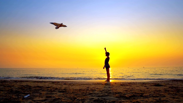 暑假里，一个戴着帽子的男孩在空旷的海滩上玩风筝视频素材