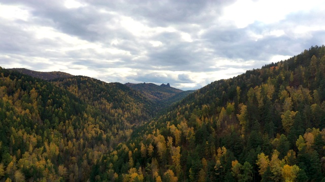山脉和森林在西伯利亚的支柱保护区。秋季景观的超级崩塌。视频素材
