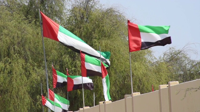 许多阿拉伯联合酋长国的国旗在阳光下飘扬，蓝天为国庆日和国旗日做准备。视频素材