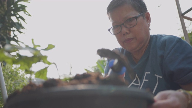 亚洲高级妇女种植在花园里。视频素材