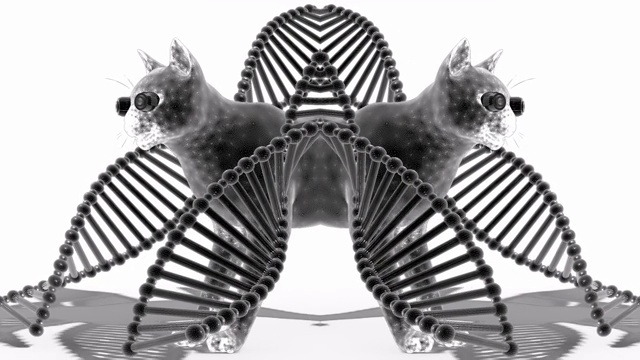 DNA实验动画视频下载