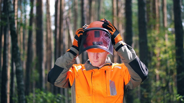 伐木工人戴上安全帽视频下载