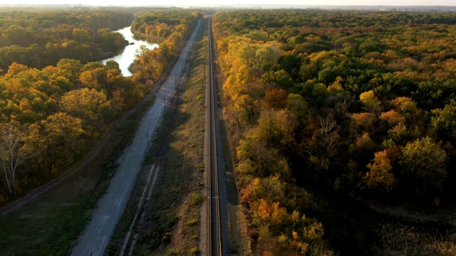 日落时分，铁路穿过秋天的森林视频素材