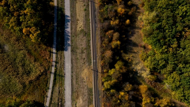 日落时分，铁路穿过秋天的森林视频素材