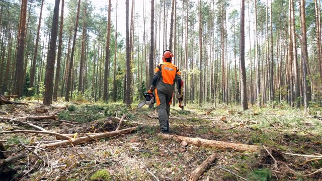 森林采伐现场，一名男性工人走在旁边视频下载