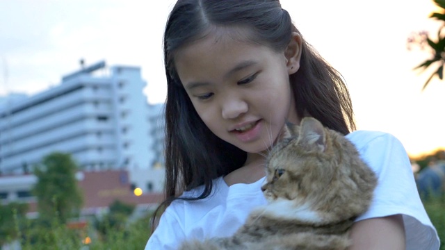 4K可爱的亚洲女孩和她的波斯猫在公园里玩视频素材