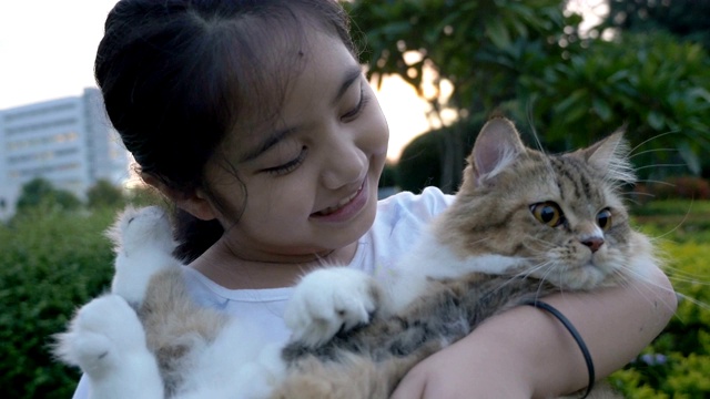 4K可爱的亚洲女孩和她的波斯猫在公园里玩视频素材