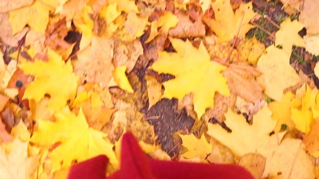 在秋天的公园里散步。鞋子踩在枫叶上。视频素材