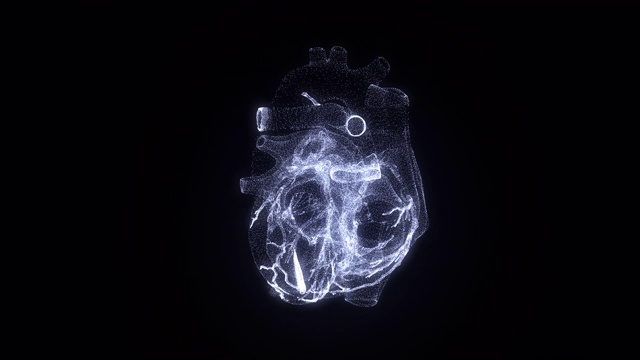 人类心脏的虚拟形象。现代心脏诊断方法视频素材