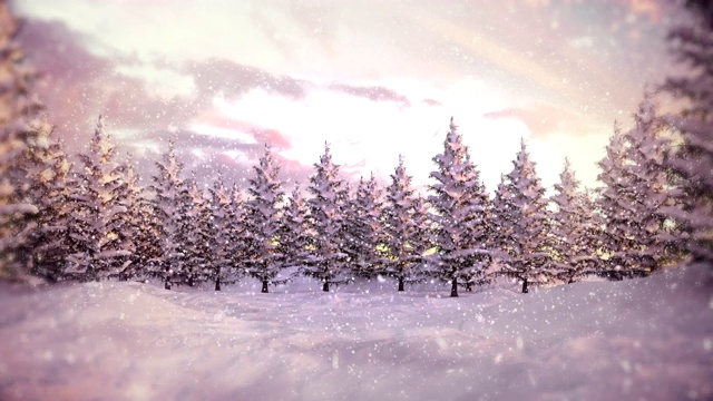 冬季景观|圣诞节视频下载