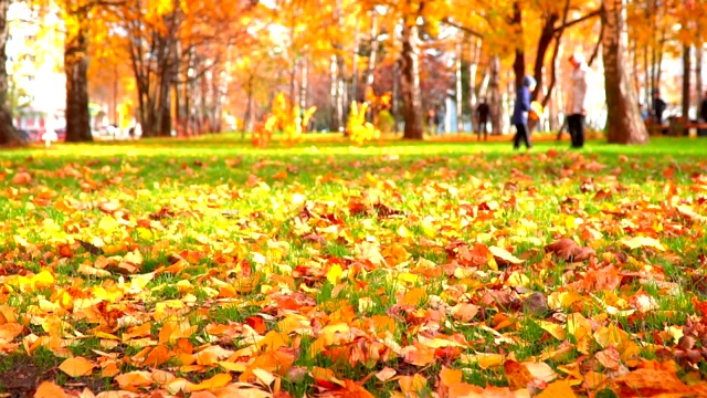 城市公园在秋天的时候，阳光，秋天的颜色在城市视频下载