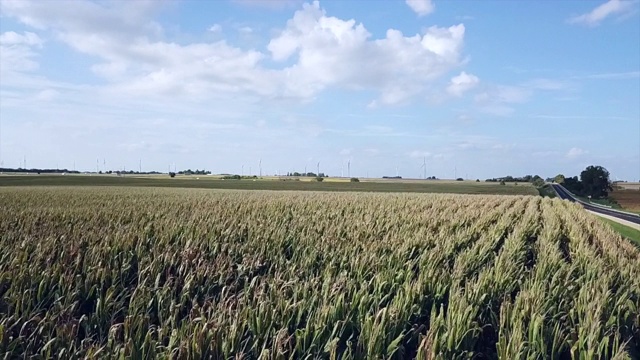 无人机拍摄的美国中西部农村玉米田和风力发电场视频下载