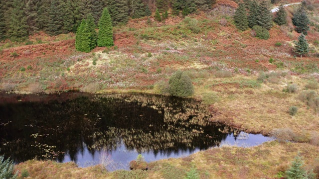无人机拍摄的苏格兰乡村森林中的一个小湖视频下载