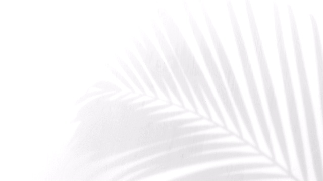 特写的影子棕榈叶在白墙背景的运动。视频素材