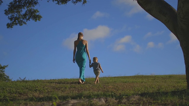 母亲和孩子手牵着手一起在公园里散步视频素材