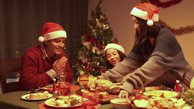 妈妈正在准备食物(烤火鸡)，准备在圣诞节那天上桌。晚餐时间，圣诞节概念，家庭日。视频下载