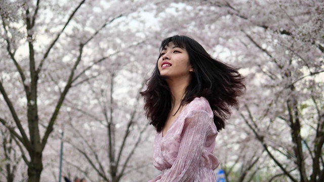 美丽的中国年轻女子站在粉红色的樱花林，摇着她的头，黑色的长发在风中飞舞，超级慢的动作。视频下载