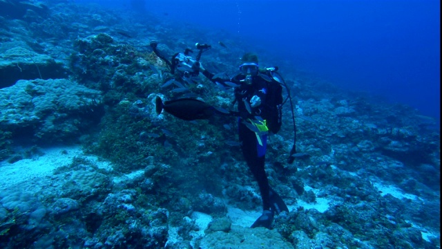 一名戴水肺的潜水员在海底举着鱼饵捕鱼。视频下载