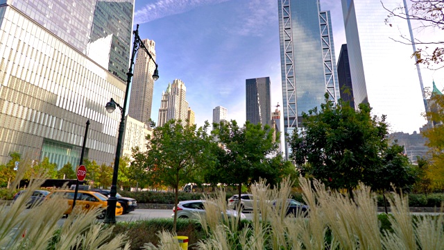 曼哈顿市中心。金融区。草。街。视频素材