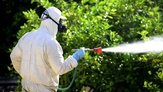 西班牙，戴面具的男子在柠檬种植园喷洒有毒农药。视频下载