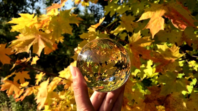 女性手握魔法水晶球越过美丽的自然景观，秋树概念视频下载