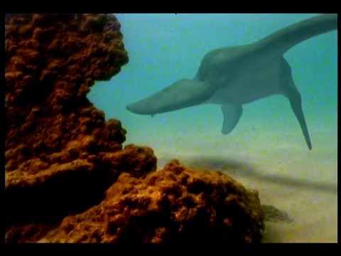 一头woolungaaurus在海底附近游泳。视频素材