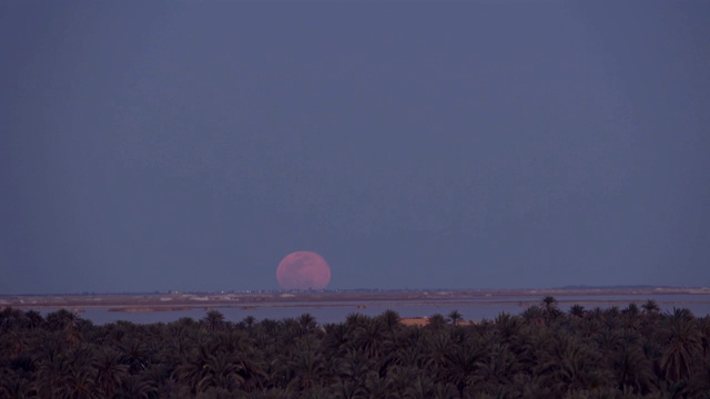 四月的满月从锡瓦绿洲的盐湖升起视频下载