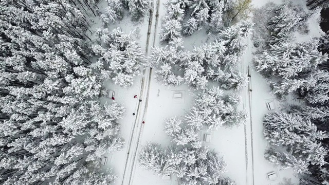 飞过白雪皑皑的云杉森林，朝着孤独的木屋飞去视频素材