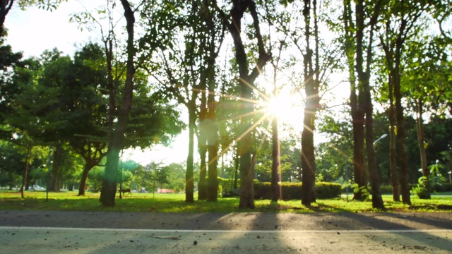 慢动作侧面的亚洲妇女跑步，慢跑在公园和傍晚的太阳。健康和运动视频下载