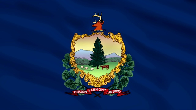 美国佛蒙特州旗在风中飘扬视频素材