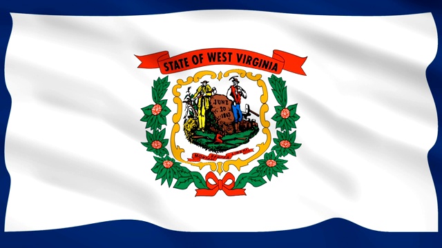 美国西弗吉尼亚州旗在风中飘扬视频素材